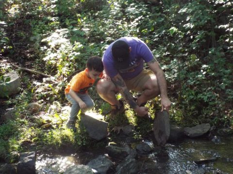 A young boy and his father turning over rocks in a stream searching for stream life
