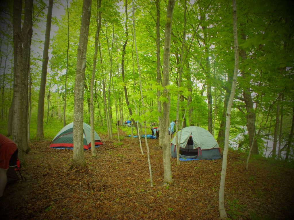 Several tents on a hill in the woods next to a river