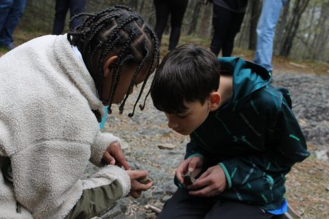 A pre-teen girl holding a rock and pointing out a feature on it to a pre-teen boy