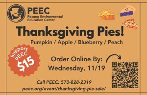A graphic for the Thanksgiving Pie Sale with QR code