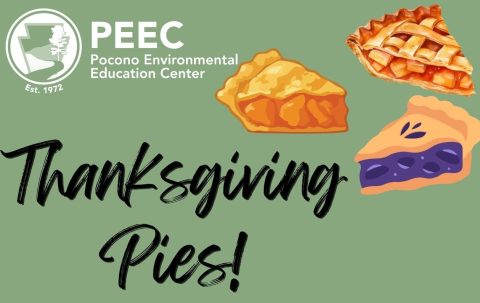 A graphic with the PEEC logo and pie slices that reads "Thanksgiving Pies"