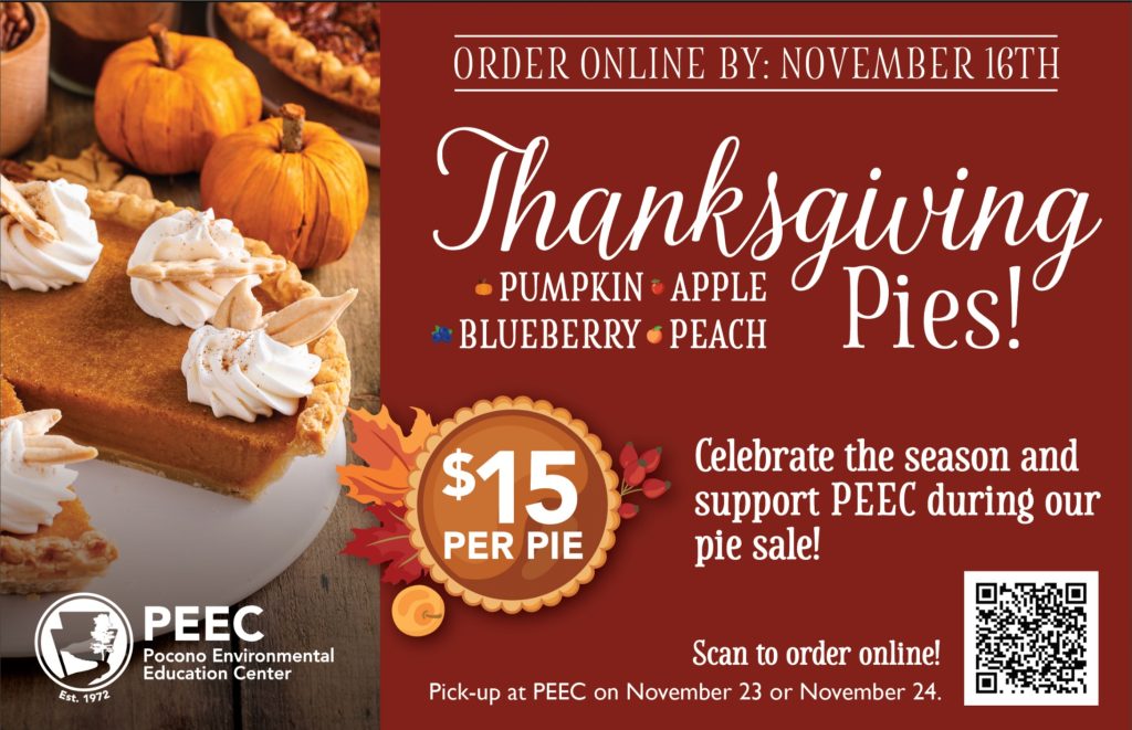 Thanksgiving Pie Sale Sign